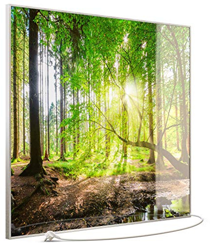 STEINFELD Heizsysteme® Glas Bild Infrarotheizung mit Thermostat | Made in Germany | viele Motive 350-1200 Watt Rahmen silber/alu (1200 Watt, 067 Wald Panorama)