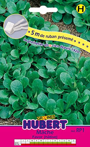 Ruban Présemé Graines de Mâche Favor