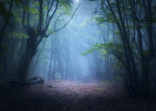 CORFOTO 7x5ft Toile de Fond de forêt brumeuse Sombre, forêt d'automne enchantée, Vieux Arbres, Paysage, Feuilles Vertes, Brouillard Bleu, Fond Naturel, Image Magique pour fête d'anniversaire
