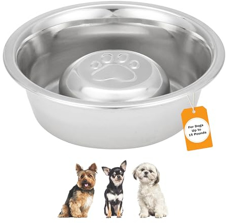 Neater Pet Brands Slow Feed Bowl Stainless Steel - Standard Bowls Fit Elevated Feeders (3/4 Cup, Stainless Steel)