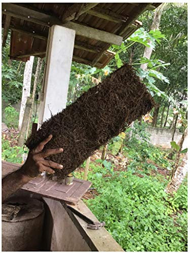 XAXIM ähnl. Dekopanel 50x20x2 cm für Terrarien Aquarien - nicht aus dem Regenwald - grob