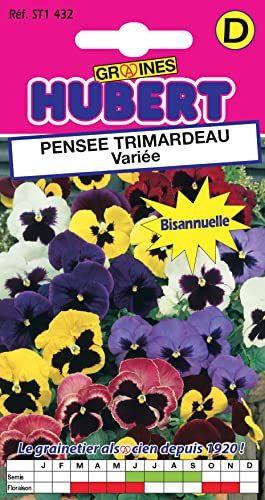 Graines de Pensée Trimardeau variée - 0,3 grammes