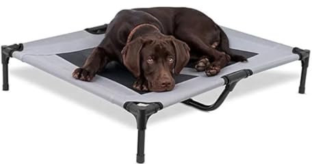 DWZXL Haustierbett Haustier Sommer atmungsaktive einlagige Outdoor-Ständer tragbare Faltbare Feldbett Haustierbett Haustier Universal Hund Haustierbett(Blue,M)