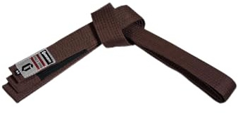 Gameness Adult Jiu Jitsu Ultra-Light Competition Belt | Competition Grade BJJ Belt for Beginners and Experts Brown A1