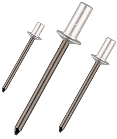 Aqxypas Rivets étanches en Acier et Aluminium, 200/300/500 pièces, 3.0 3.2 4.0 4.8 6.4mm (Size : 200Pcs, Color : 4.8x16mm)
