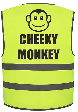 Brook Hi Vis Cheeky Monkey Kids Hi Vis Vest Children's High Visibility Reflective Safety Waistcoat Funny Fancy Dress School, Add child's name to the front, Personalised