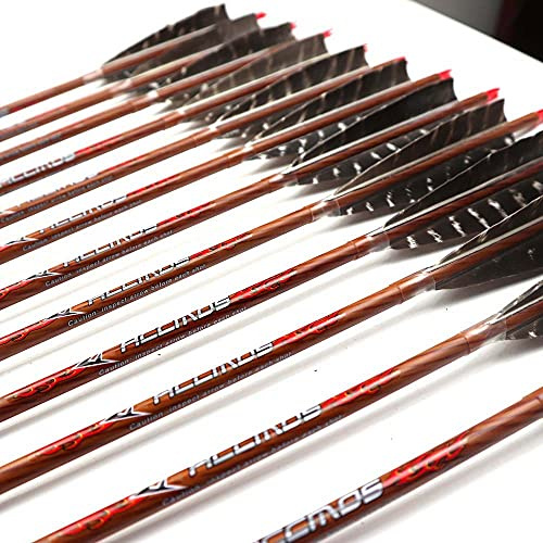 ACCMOS Spine 700 Flèche 32 Pouces Flèche Flèches Carbone Flèche Cible Flèche de Chasse Arc à Poulies Arc Recurve Adulte Jeunesse Tir à l’Arc Entraînement 6pcs comme Le Bois