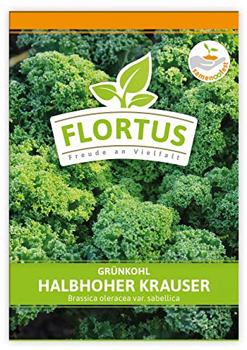 FLORTUS Grünkohl Halbhoher Krauser | Gemüsesamen | Kohlsamen | Grünkohlsamen | Samen zur Anzucht für Garten, Balkon, Küche & Fensterbank