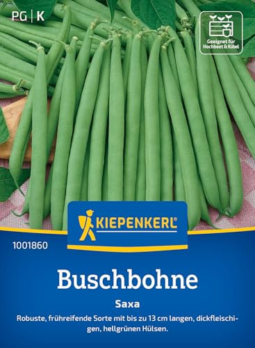 Kiepenkerl Buschbohnensamen Saxa 1001860 - Gemüsesamen für robuste Bohnen mit bis zu 13 cm langen Hülsen und Inhalt für 6 bis 8 lfd. Meter - Saatgut