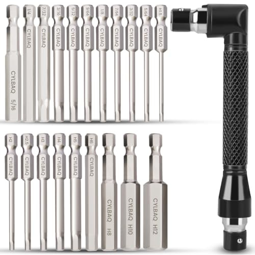 CYLBAQ 20PCS Allen Key Bit Set, Hex Head Screwdriver Bits Magnetic Allen Wrench Drill Bit with Double-Headed L-Shaped Angle Screwdriver Bit Holder for Assembling Furniture