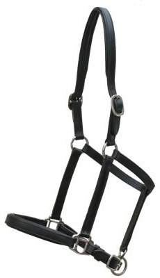 Euroriding Fohlenhalfter, Natural Line Farbe schwarz, Größe Fohlen:Large