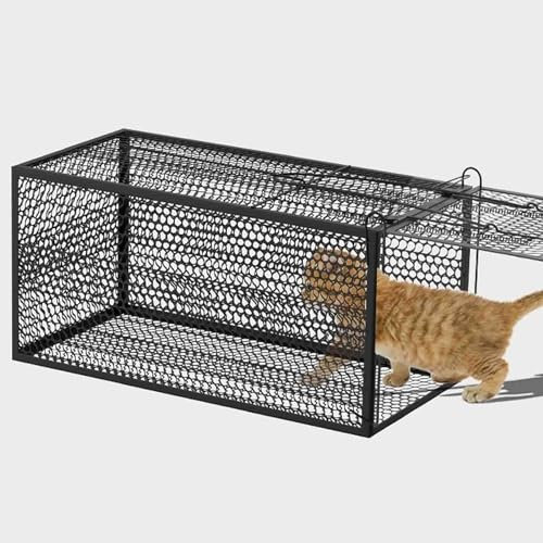 LIFENGFF Piège à Chat - Piège à Chat Sauvage Piège à Animaux Vivants sans cruauté, Piège à Chats errants Cage à Animaux Vivants, Convient pour la Ferme, Le Jardin, Le Jardin Domestique, la Capture