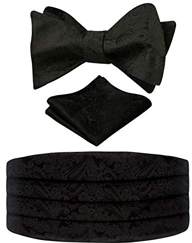 Alizeal Herren Classic Paisley Selbstgebundene verstellbare Fliege, Kummerbund und Pocket Square Set | Vorgebundenes Kummerbund-Einstecktuch, perfekt für Hochzeiten, geschäftliche und formelle Veranstaltungen