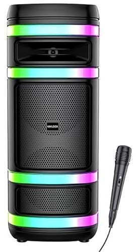 WEB world electronic business Cassa Acustica Ricaricabile 2x8 Pollici 40W Bluetooth USB Luci LED Portatile Professionale - Nero