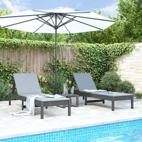 SKTQYQO Transats en bois massif de pin 2 pièces gris avec dossier réglable pour piscine jardin et véranda design à lattes pour drainage facile et charme naturel