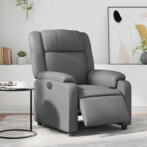 Owoxanthellate Poltrona relax con funzione reclinabile elettrica, grigio, in similpelle, 77 x 95 x 99 cm, design moderno per soggiorno, camera da letto, ufficio e home cinema
