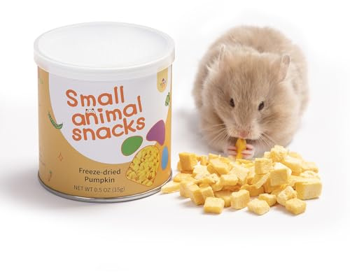 Niteangel Hamstersnacks och Godisleksak - Naturligt Godis för Dvärghamstrar, Syriska Hamstrar, Robo Hamstrar, Gerbils, Möss & Degus (Frystorkad Pumpa, 15 g)
