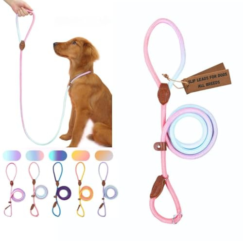 Bee N Buu Slip Leads for Dogs 5 FT Pastel Rope Leash, Soft Slip Lead Dog Leash with Adjustable Stopper, Gradient No-Pull Training for Small Medium Large Breeds Pink and Blue