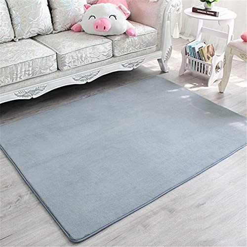 Aoojlo Alfombra de Terciopelo Coral Grueso de Color sólido Calidad Gris Suave Lavable Antideslizante Grande Rugs Rug Minimalista Moderna Sala De Estar Dormitorio Tatami Gateando Estera -60×90cm