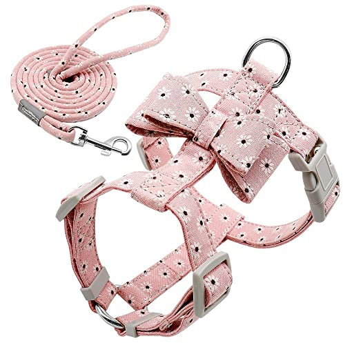 Verstellbare Nylon-Hundegeschirr-Leine-Set für Haustiere, Welpen, Bowknot-Geschirr, Weste, Laufleine für kleine, mittelgroße Hunde, Chihuahua