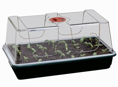 Zimmergewächshaus 38 x 23 x 18 cm – stabiles Mini-Gewächshaus mit schwarzer Schale, nachhaltiger Anzuchtkasten für Pflanzen & Kräuter, optimale Keimbedingungen