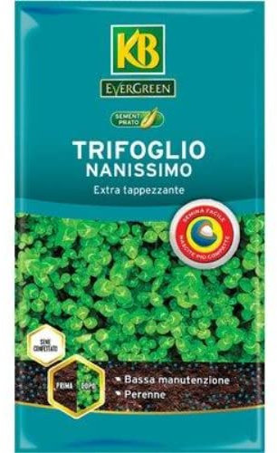 KB Semi Prato Trifoglio NANISSIMO CONFETTATO - SEMENTI per Tappeto ERBOSO 100GR