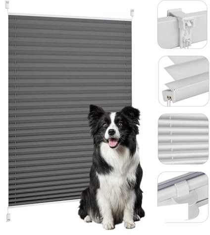 Plissee Klemmfix Ohne Bohren 90 x 200 cm Sichtschutz Und Sonnenschutz Jalousie Easyfix Plisseerollo Inkl. Aller Montage-Teile für Fenster & Tür, Dunkelgrau