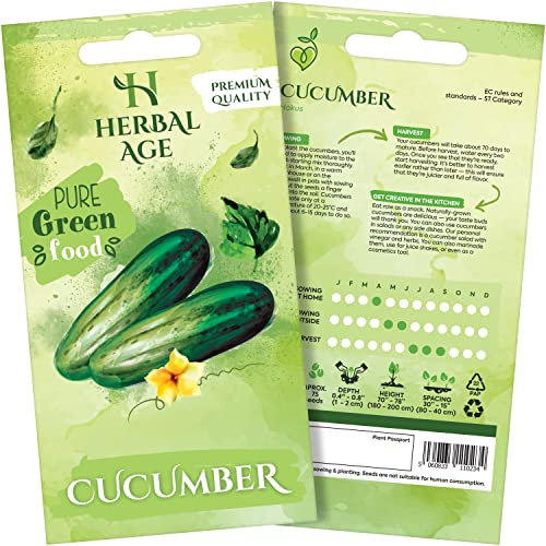 HERBAL AGE Grow Your Own Kits, Cucumber Vegetable Seeds for Planting UK, 75 Plants Heirloom Seed Box, Plant Seeds Indoor & Outdoor UK, Garden Gifts for Women, Man, Kids, Salad and Vegs Lovers