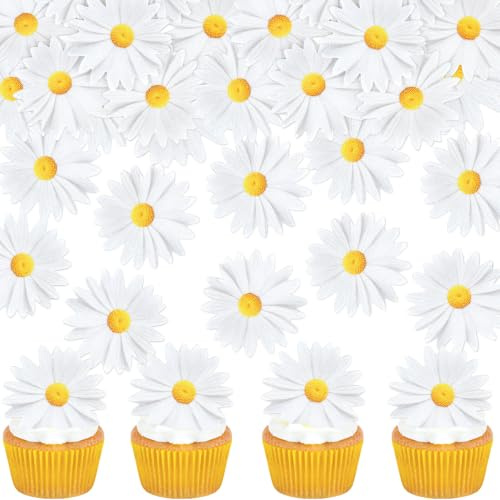 40 Stück Essbare Stiefmütterchen Blumen Cupcake Toppers Tricolor Viola Tortendekoration Essbare Blumen Tortendekoration Baby Dusche Party Hochzeit Jahrestag Geburtstag Party Cupcake Dekoration