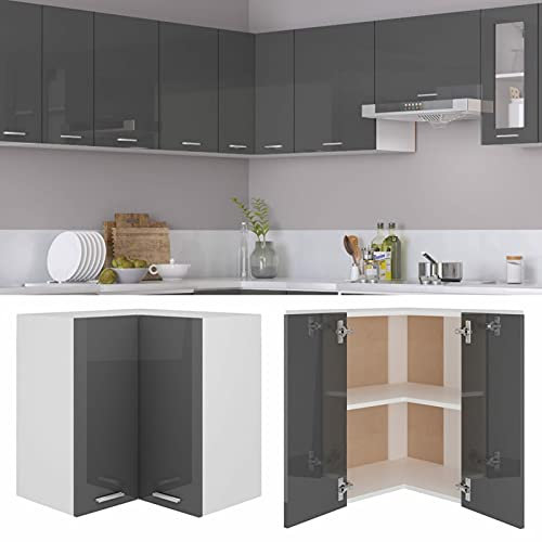 Wandküchenschrank, Hänge-Eckschrank mit 2 Ablagen und Türen, Küchenschrank, Küche, Badezimmer, Zuhause, Organizer, Einheit, Hochglanz-Grau, 57 x 57 x 60 cm, Holzwerkstoff 64