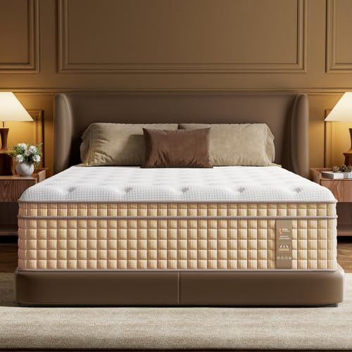 BedStory Queen Mattress 12 Inch, 7-Zone Contouring Bed in a Box,Firm Hotel Collection Hybrid Mattresses with Extra Lumbar & Shoulder Support Pain Relief,Fiberglass-Free 365-Night Trial