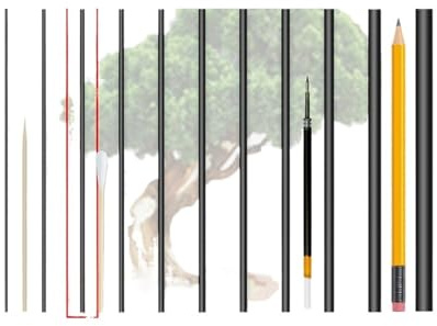 Fil d'entraînement pour bonsaï Fil de fer en aluminium for bonsaï, 500 g, 1,0/1,5/2,0/2,5/3,0/3,5/4,0/5,0/6,0/7,0/8,0 mm, for la formation des plantes(2.0mm Black)