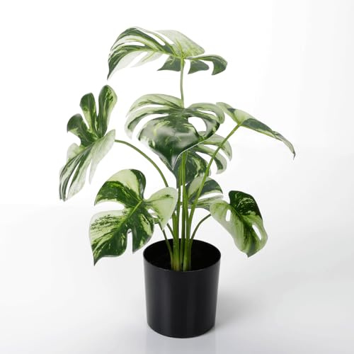 Deco Woerner Künstliche Deko Monstera im schwarzen Topf 37 cm grün Kunstpflanze Künstliche Monstera Deko Topfpflanze Deliciosa Albo Variegata
