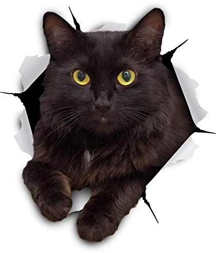 Katze Kätzchen D811 3D-Effekt Autoaufkleber Sticker Aufkleber 15 cm | Weitere Motivmerkmale: Schwarz; Silberfarbener Rand; wetterfest, laminiert und für glatte Oberflächen