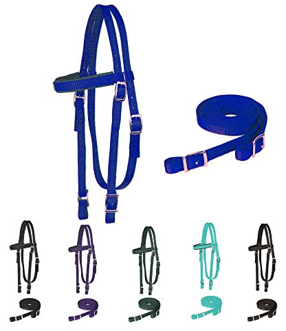 Frontalino imbottito en nylon Majestic Ally avec redini per cavalli (bleu réel, complet)