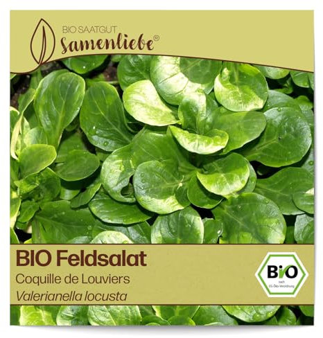 Samenliebe BIO Feldsalat Samen Coquille de Louviers nussiger Winterfeldsalat knackiger Salat grün 1,5g samenfestes Gemüse Saatgut für Gewächshaus Freiland und Balkon BIO Gemüsesamen winterhart