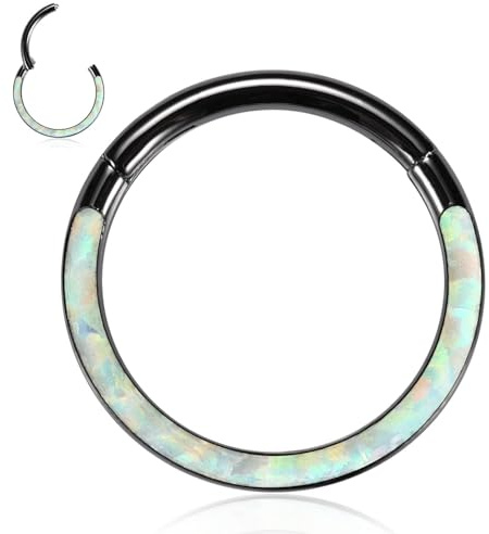 hengkaixuan 16G Nasenringe Septum Clicker 316L Chirurgisches Stahlsegment Helix Knorpel Conch Hoop Ohrringe Hoop Conch Hoop Daith Piercing Schmuck