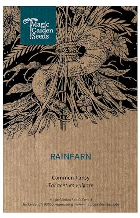 Rainfarn (Tanacetum vulgare) - ca. 800 Samen