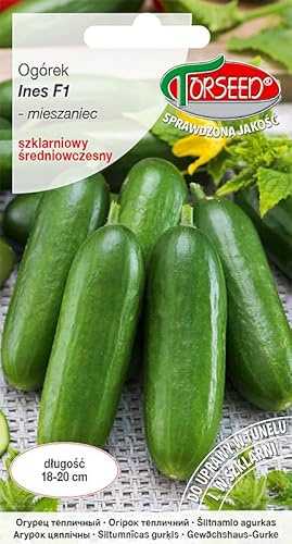 Verdica Ines F1 Gewächshaus-Gurkensamen Cucumis sativus – Mittel-Früh, 18–20 cm Dunkelgrün, Bitterfrei für Geschmackvolle Salate, Ideal für Frühling & Herbst, Umweltfreundliche Verpackung (1 Gramm)