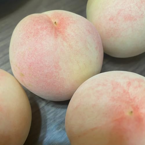 pesco, pesco semi di decorazione da giardino per esterni Prunus persica da spalliera rari colonnari esotico a prova di inverno 10semi