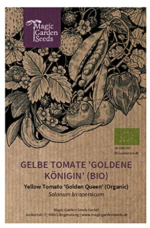 Gul tomat Golden Queen (Solanum lycopersicum) Bio 10 frön gammal sort