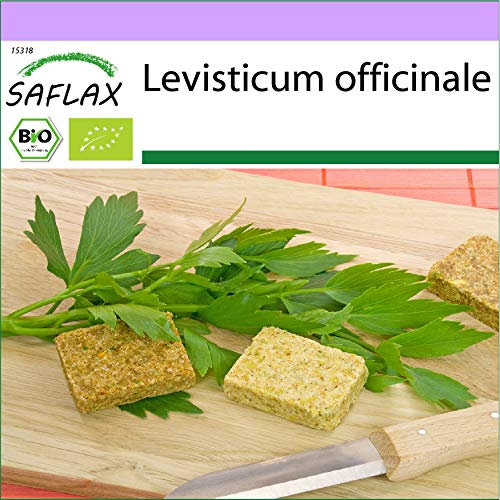 SAFLAX - Organic - Lovage - 100 Seeds - Levisticum officinale