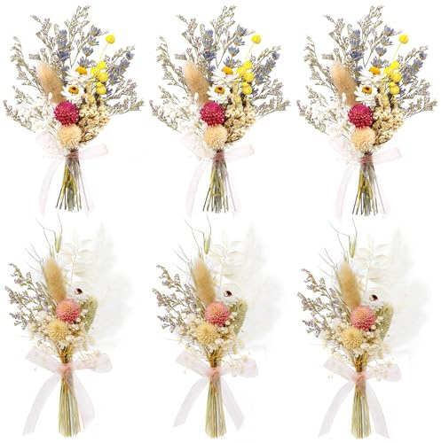 xin's convey Mini Dried Flower Bouquet Set of 6, Pink Mini Bouquet, Party Plate Decoration, Bridesmaid Flower Girl Proposal Box, Birthday Cake Table Arrangement, Wall Decoration. (Pink)