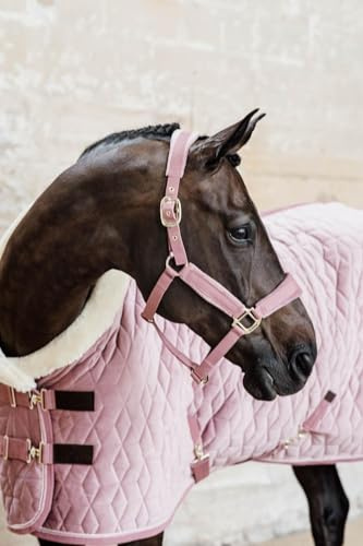 Kentucky Horsewear - Halfter - Samt - Altrosa - Cob