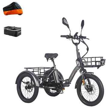 Fafrees F20 Mate Elektro-Dreirad | Klappbar, 48V Akku, 65Nm Motor | 20×3.0 Allwetterreifen, 180kg Lastenfähigkeit, Senioren-E-Bike (21Ah-Vorderer Gepäckkorb+hinterer Gepäckkorb, Grauer Stil 8)