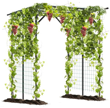 RELAX4LIFE Enrejado para Plantas Trepadoras 200x150x197cm, Celosias para Terraza Exterior con Marco de Metal Revestido de PE y Malla, Pérgola de Arco para Uvas, Pepinos, Verduras y Flores