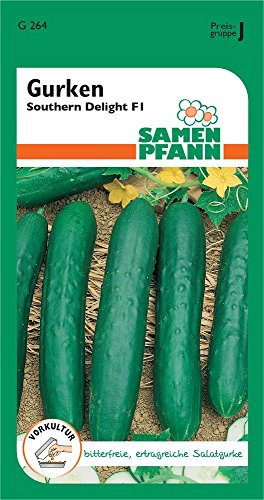 Samen Pfann G264 Salatgurke Southern Delight F1 (Gurkensamen)