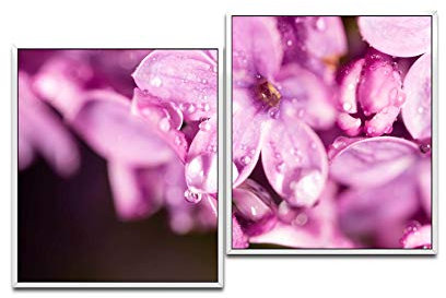 Paul Sinus Art Blumen in pink 130 x 90 cm (2 Bilder ca. 75x65cm) Leinwandbilder fertig im Schattenfugenrahmen WEISS Kunstdruck XXL modern