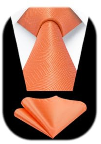 HISDERN Krawatten für Herren Klassische Hochzeit Krawatte mit Einstecktuch Set Formal Elegant Taschentuch Business Party