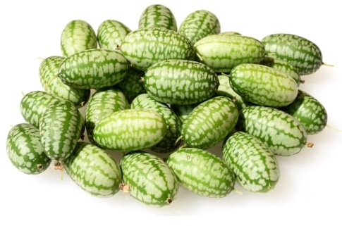 Graines Concombre Mexicain – 12 Concombres à Souris (Melothria scabra) Cucamelon grimpant pour balcon, pot, pleine terre & serre – goût frais citronné – naturel – Love my Nature